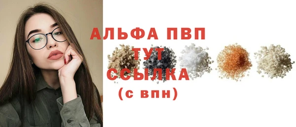 a pvp Бородино