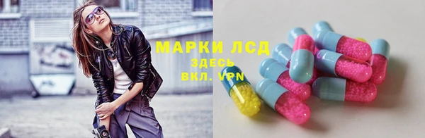 a pvp Бородино