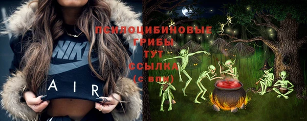 a pvp Бородино