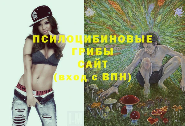 a pvp Бородино