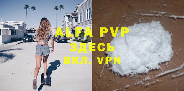 a pvp Бородино