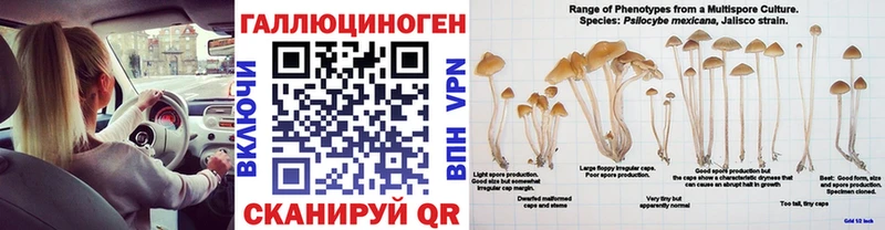 Купить закладки  Весьегонск  Галлюциногенные грибы Psilocybe 